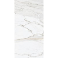 Gold Calacatta 60*120