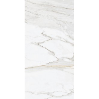 Gold Calacatta 60*120