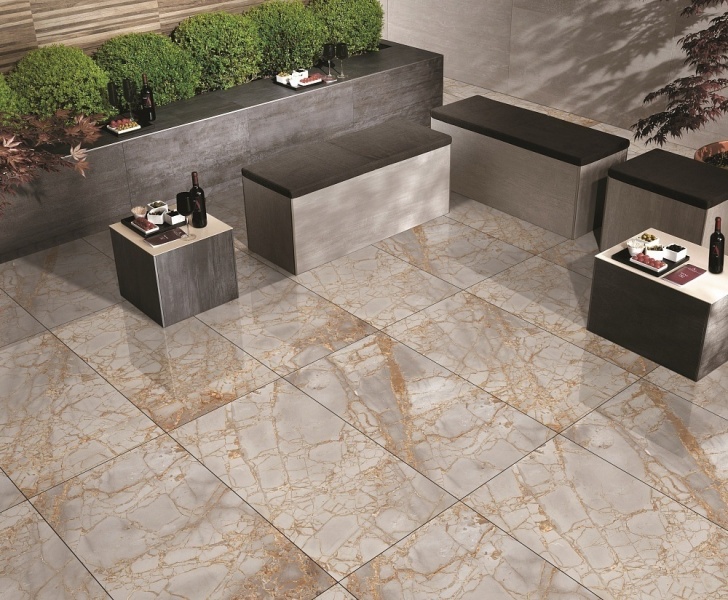 Golden Grey PrimaVera