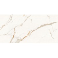 Golden Statuario Polish 60x120