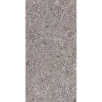 Granddust Grys 59.8x119.8