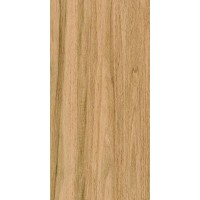 Greenwood Great Matt 60x120