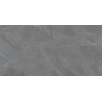 Grey Pulpis SAT 239,8x119,8