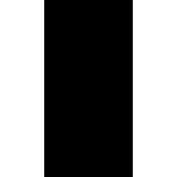 Grum Black Polished 160x320
