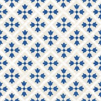 Guadalupe Blue 18,7x18,7