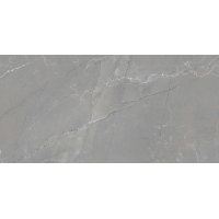 HARVEST GREY GLOSSY 60x120