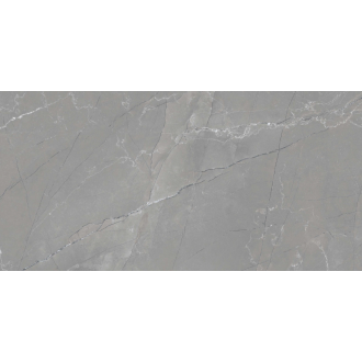 HARVEST GREY GLOSSY 60x120