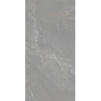 HARVEST GREY GLOSSY 60x120
