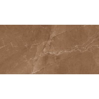 HARVEST NATURAL GLOSSY 60x120