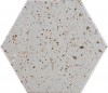 HEX CARNABY 1 compacglass 19.8*22.8