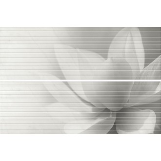 HGD/A200/2x/12102R Борсари 50х75