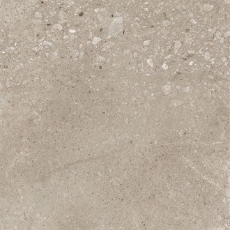 Harley Бежевый матовый 50х50