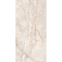 Harmony Gris Carving 60x120