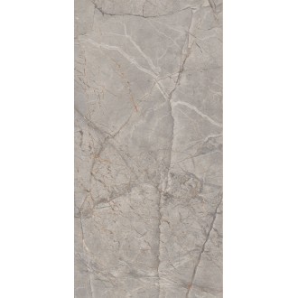 Harmony Gris Glossy 60x120