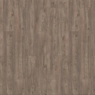 Harvest Дуб Юкатан