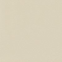 Helton Bone Rect R10 120*120