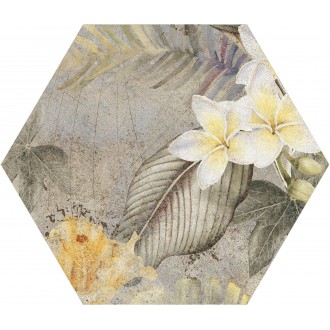 Hibiscus Oxide Matt Hexa 23.2x26.7