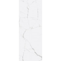 ICEBERG 118 NPLUS. 45X118
