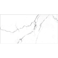 ICEBERG NPLUS 60x120