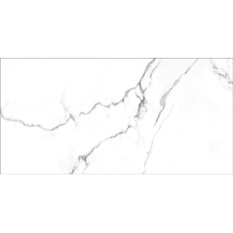 ICEBERG NPLUS 60x120