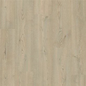 IMM61041 Corsignano Oak