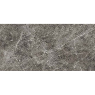 IMM 12LR Visone Grigio Levigato 60x120