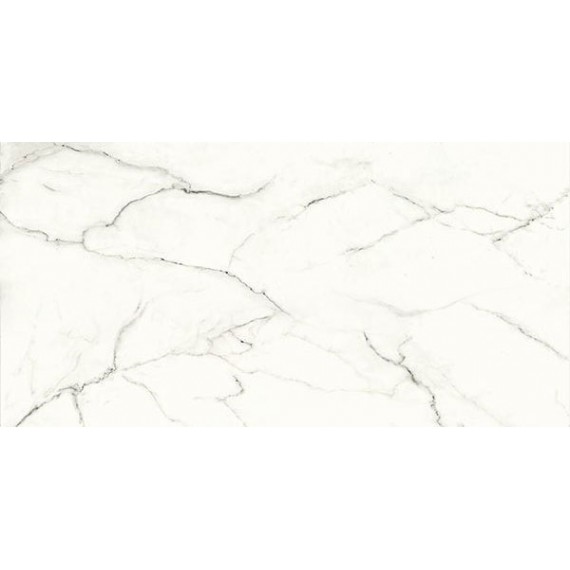 Керамогранит IMP 02RT STATUARIO SILK 60X120