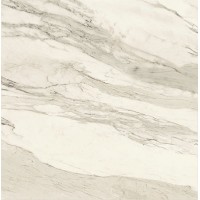 IMP 30RT CALACATTA BEIGE SILK 60x60