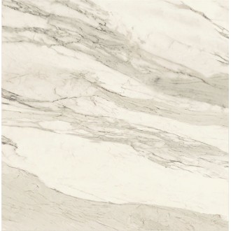 IMP 30RT CALACATTA BEIGE SILK 60x60