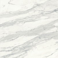 IMP 80RT CALACATTA BIANCO SILK 60x60