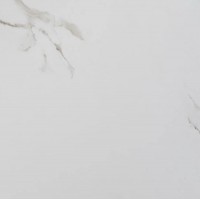 INDUS STATUARIO MATT 60x60