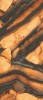 INF3423-1 Tiger All-Light Polished Ret 120x278