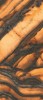 INF3423-2 Tiger All-Light Polished Ret 120x278