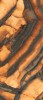 INF3423-3 Tiger All-Light Polished Ret 120x278