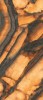 INF3423-4 Tiger All-Light Polished Ret 120x278