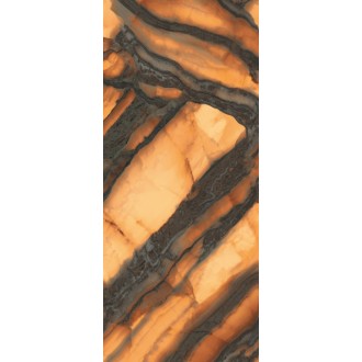 INF3423-5 Tiger All-Light Polished Ret 120x278