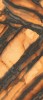 INF3423-5 Tiger All-Light Polished Ret 120x278