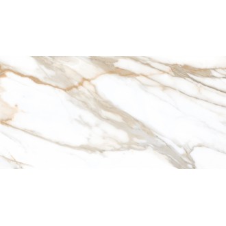 Icaro Gold Compacglass 60x120