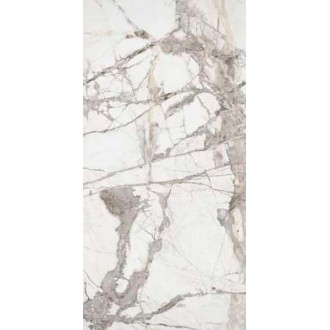 Ice Burg Pol 60x120