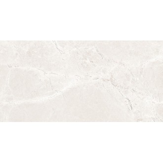 Iconic Dew Matt 60x120