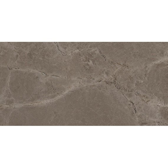 Керамогранит Iconic Truffle Matt 60x120
