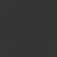 Industrio Anthrazite Matt R10 79.8x79.8