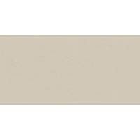 Industrio Cream Matt R10 119.8x59.8
