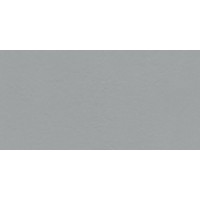 Industrio Dust Matt R10 119.8x59.8