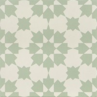 Infusion Ornelas 20x20