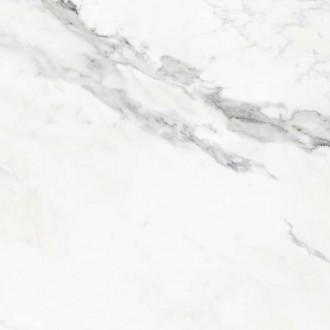 Insignia White Mate 59,5x59,5