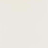 Intensiv Bianco Gres Rekt. Mat. 59.8x59.8