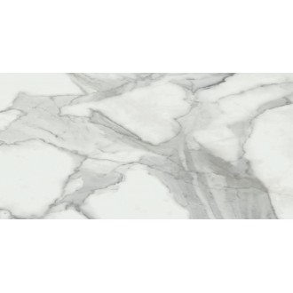 Invictus Natural Rectificado 60x120