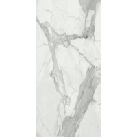 Invictus Pulido A 120x260