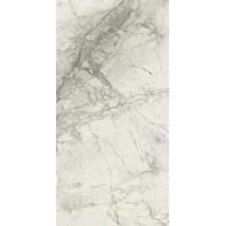 Invisible Gold Pol.Rect. 60х120